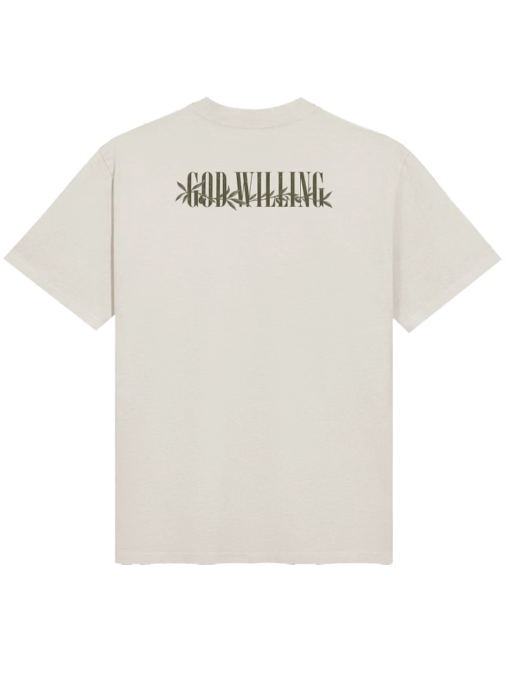 Third Day Oversized Tee, back